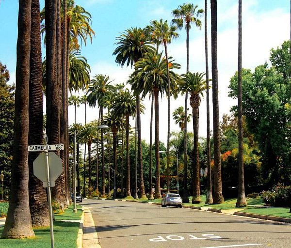 Beverly Hills Street